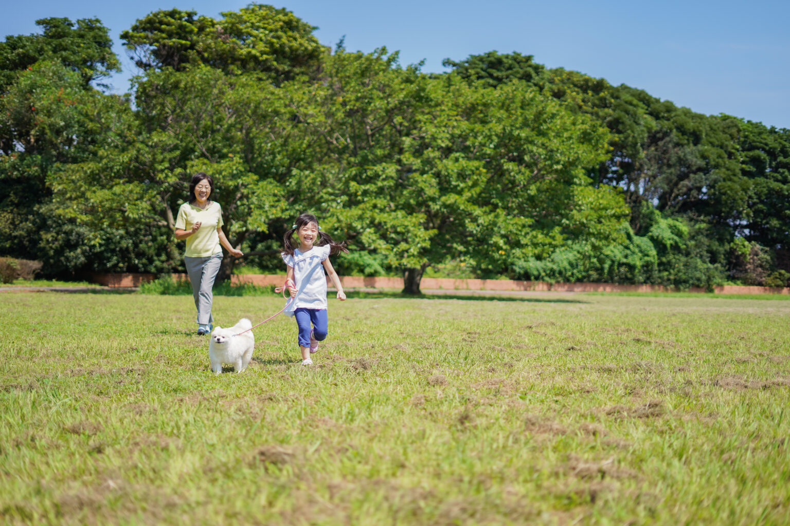 A,Little,Girl,Walking,Her,Dog,With,Her,Grandmother