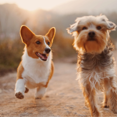 Mask Group 4 Mask Group 4