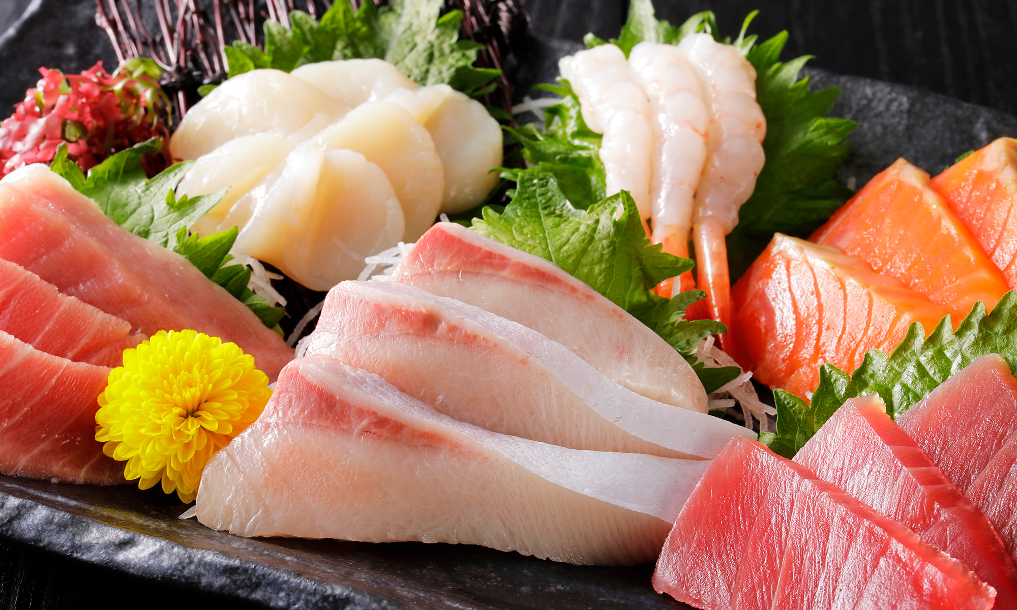 shutterstock_1633696672