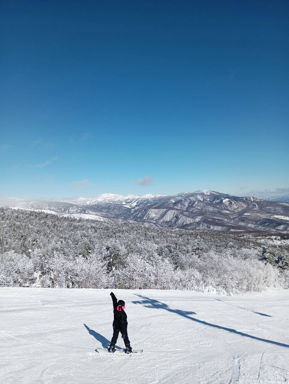 ワンストップサービス