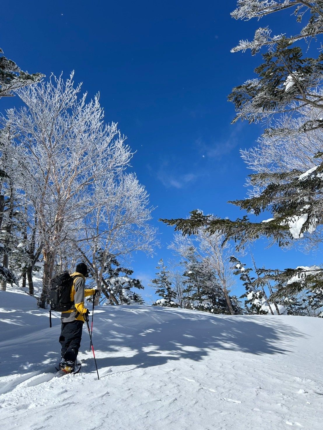 東京からアクセス便利