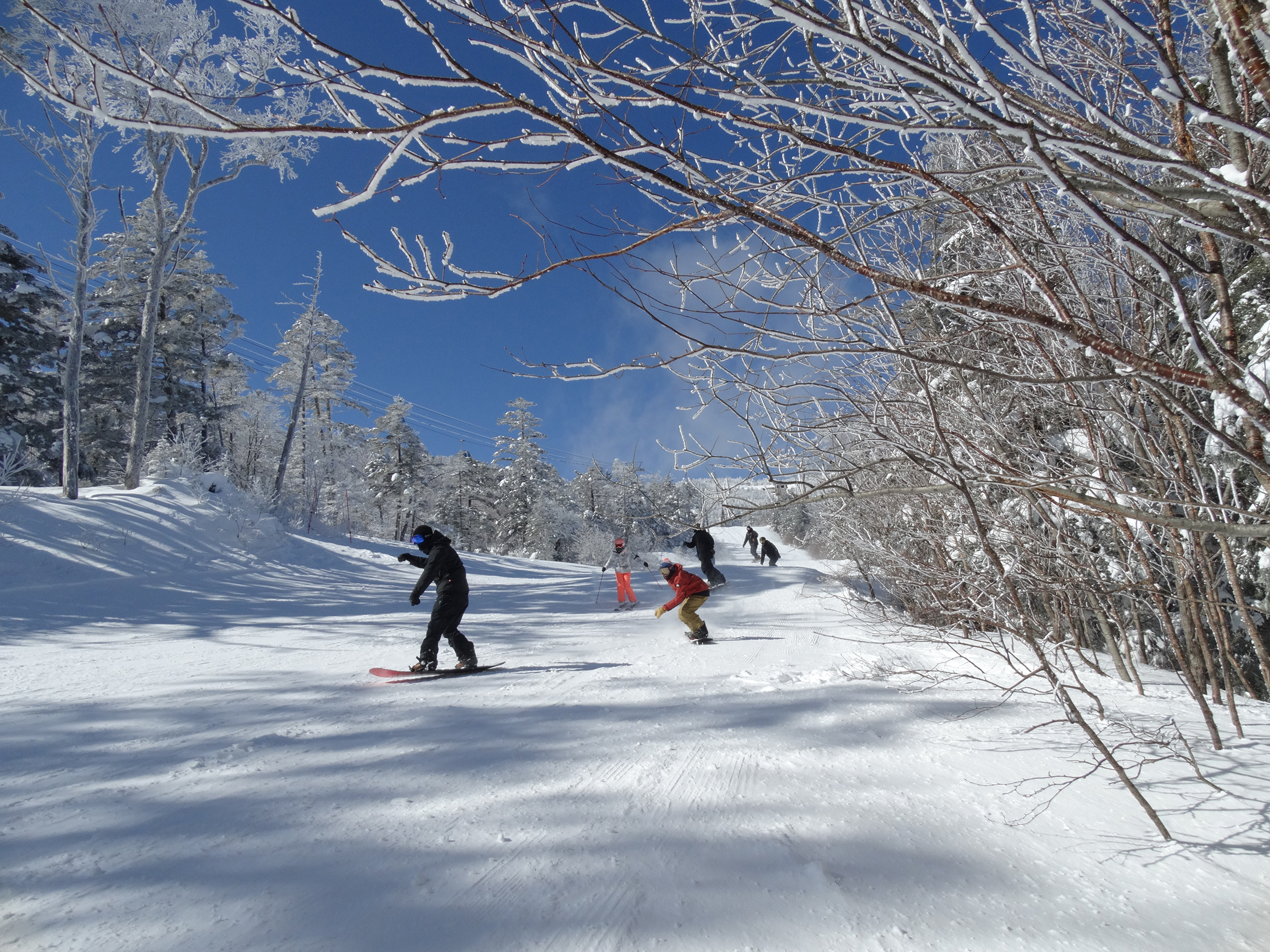 Copy of 20210205-DSC05088