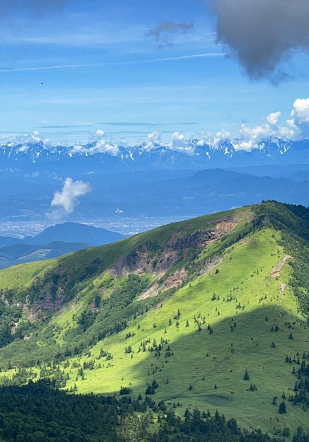 3E15B484-9713-4732-B91D-00589E259AB6