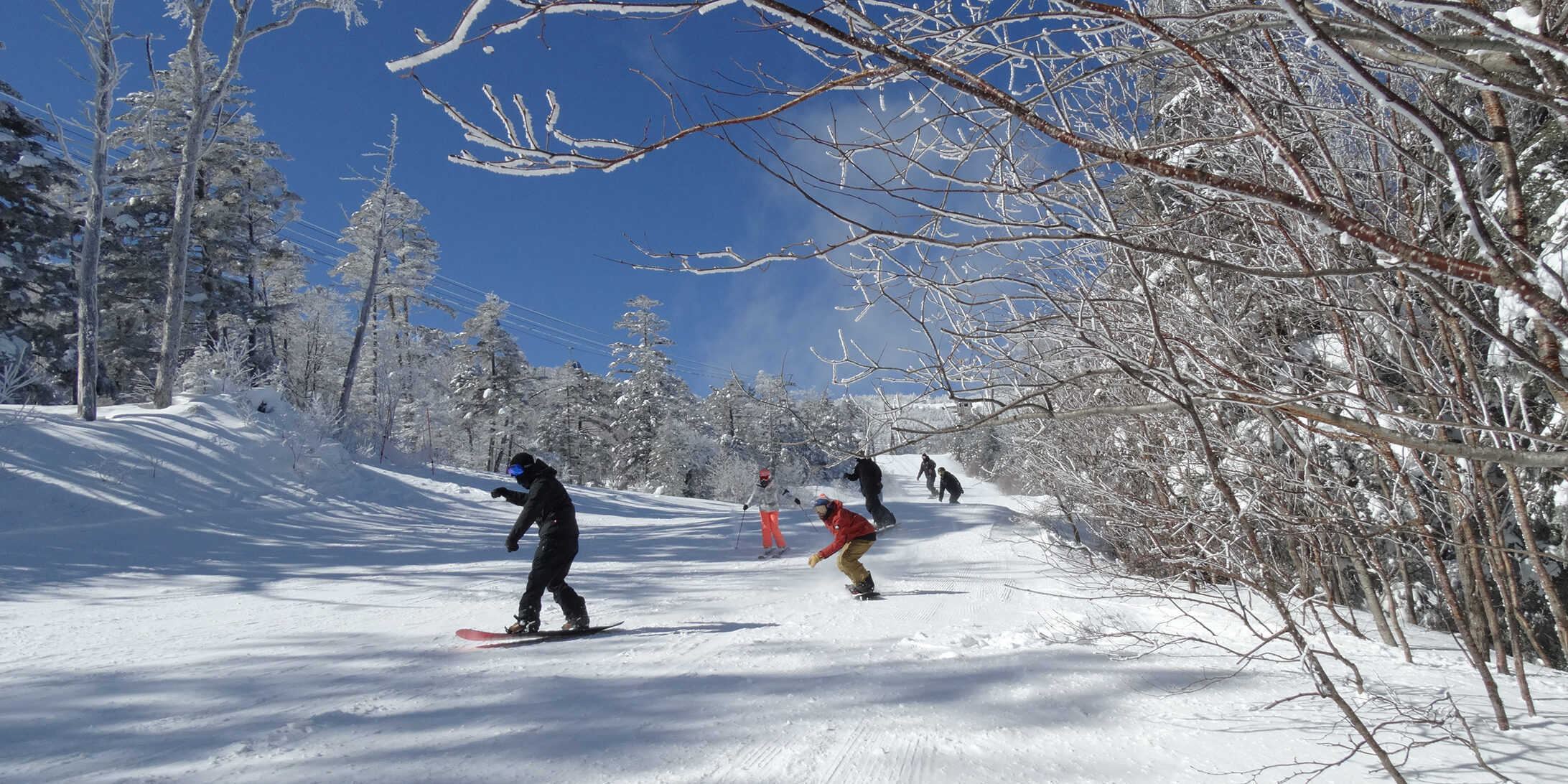 Copy of 20210205-DSC05088 (1)